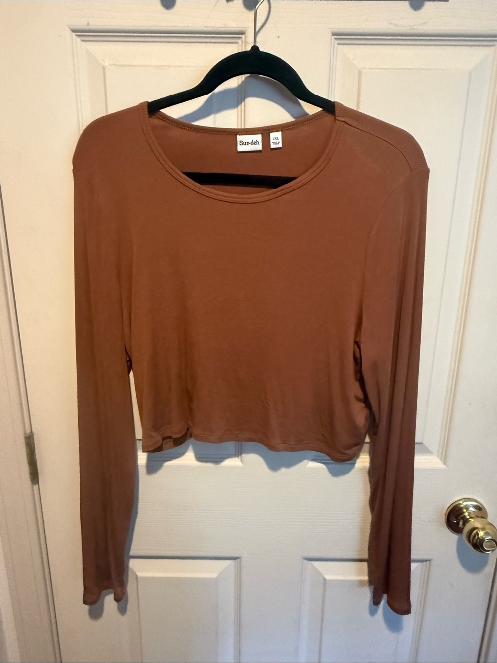 Aritzia Cropped Long-Sleeve Top in Warm Brown